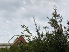 -郑州银基黄帝宫御温泉