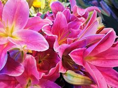 -双季花艺园艺市场(浦东店)
