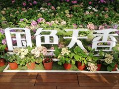 -盈香心动乐园