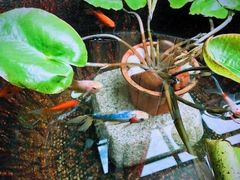 -文儒九号·闽菜馆(三坊七巷店)