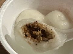 -海丝金凤(金鱼店)