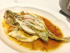 -湖北三五醇酒店·35年新楚菜