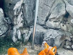 -淄博聊斋城景区