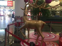 -厦门高崎国际机场-T3航站楼