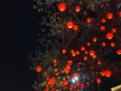 -大雁塔北广场音乐喷泉
