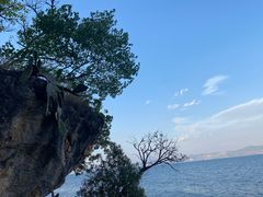 -抚仙湖禄充风景区