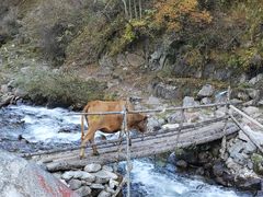 -孟屯河谷景区