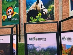 -西安电影制片厂