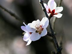 -龙泉峪长城
