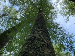 -溪口-滕头旅游景区