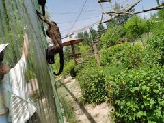 -鄂尔多斯野生动物园