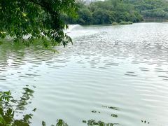 -重庆彩云湖湿地公园