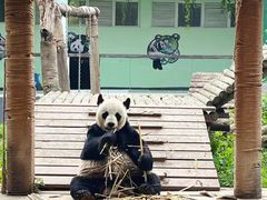 -南昌动物园