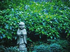 -灵隐飞来峰景区