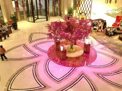 -圣丰索菲特·2 On 988 Café 自助餐厅