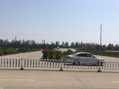 -万国驾校