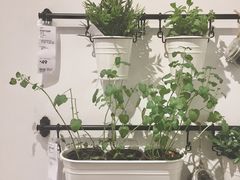 -宜家家居(哈尔滨商场店)