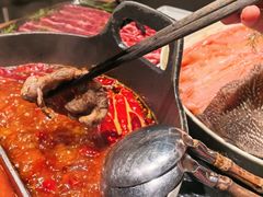 -大龙燚·旷野鲜火锅(广州首店)