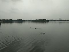 -海珠湖公园