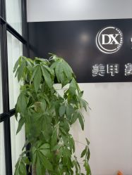 -丹曦·美甲美睫