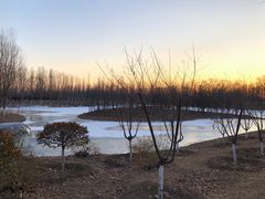 -东郊湿地公园