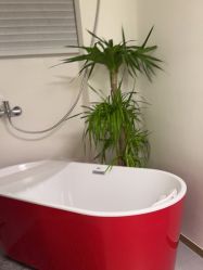 -WENDY·温迪皮肤管理