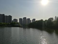 -新江湾城公园