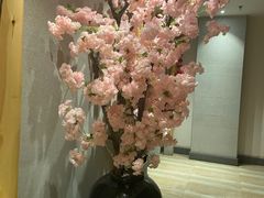-青水瓦台汤泉(新华店)