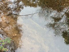 -本溪老边沟风景区