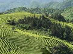 -东白山