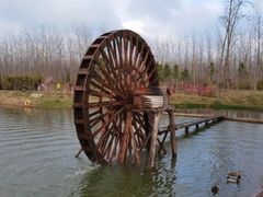 -合肥滨湖国家森林公园