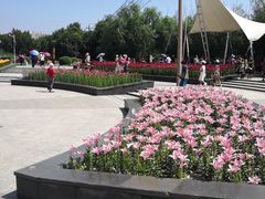 -长春公园(普阳街道)