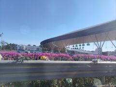 -黎雪珍凉茶(北京路店)