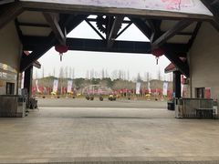 -上海海湾国家森林公园