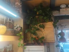 -枞馫单丛茶·茶室·茶馆(风林绿洲店)