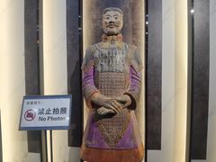 -秦始皇帝陵博物院(兵马俑)