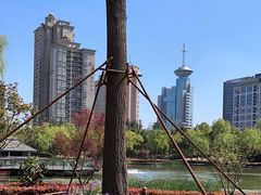 -新虹桥中心花园
