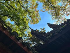-天一阁博物院