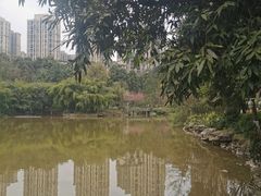 -龙头寺公园