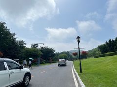 -棒棰岛宾馆景区