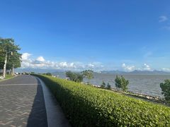 -深圳湾公园(南山区)