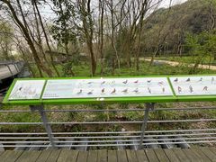 -西湖风景区-江洋畈生态公园