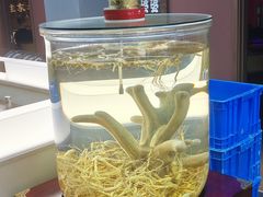 -巧婆婆特色东北菜·铁锅炖