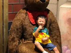 -济州岛泰迪熊博物馆