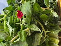 -慢丽江·云南野生菌土鸡锅(付家庄店)
