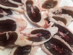 羊腰子-松明一烤肉馆(鲁园店)
