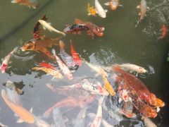 -广州花园酒店