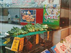 -鸿达渔港