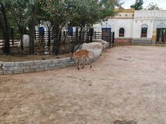 -杜氏旅游度假区