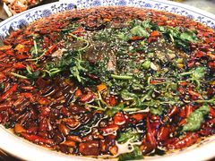 -杨记隆府(白象街店)